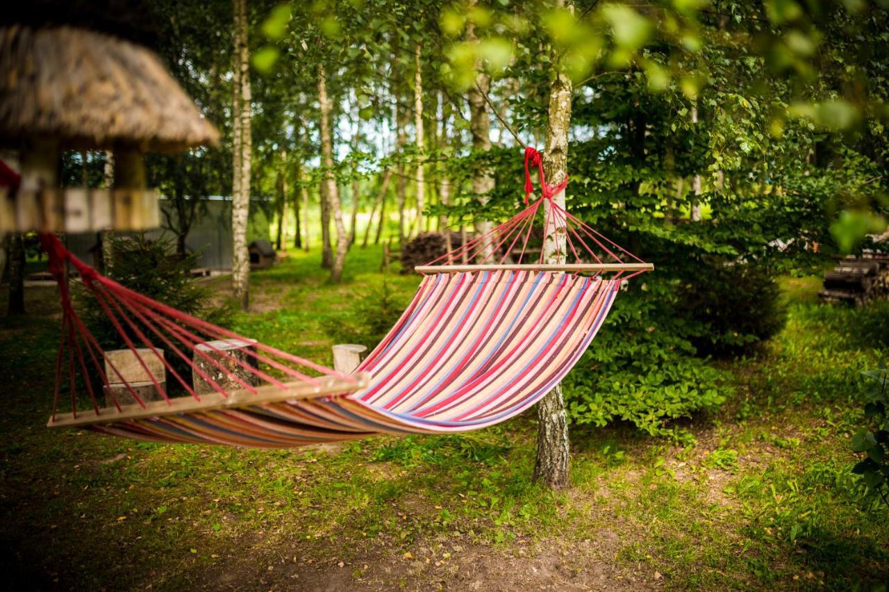 Bed and Breakfast Brzozowy Gaj Glowczyce Экстерьер фото