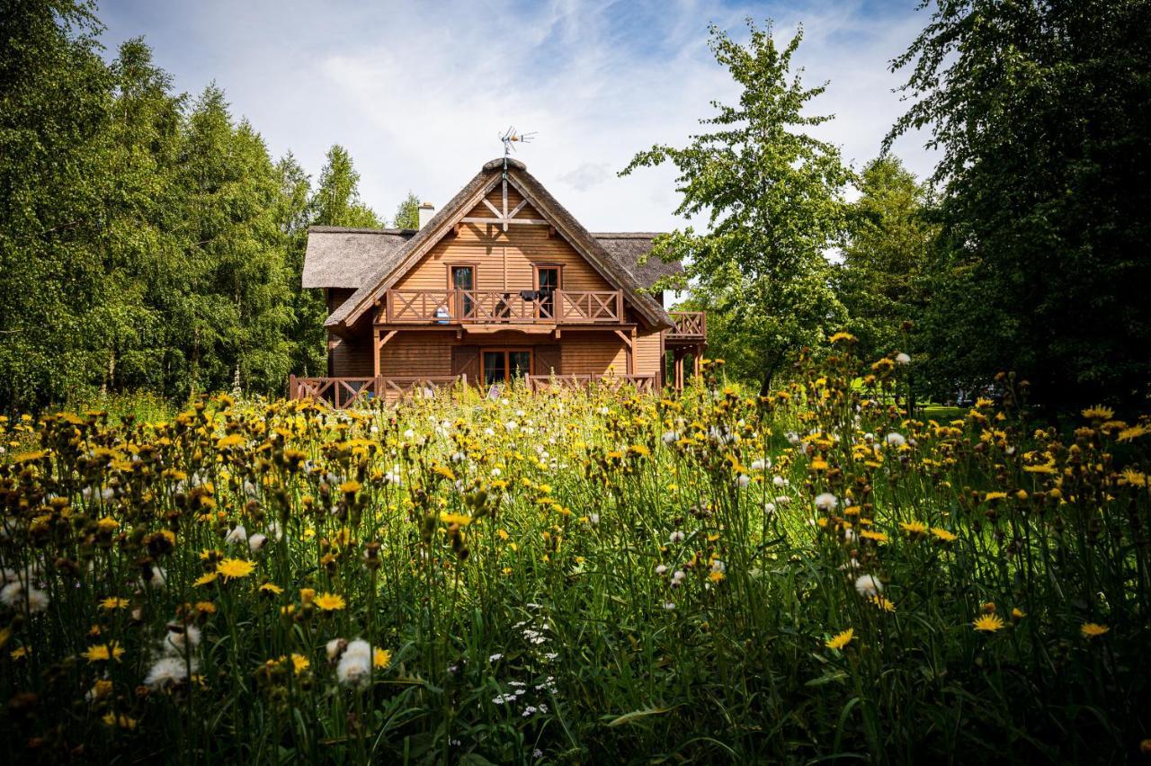 Bed and Breakfast Brzozowy Gaj Glowczyce Экстерьер фото